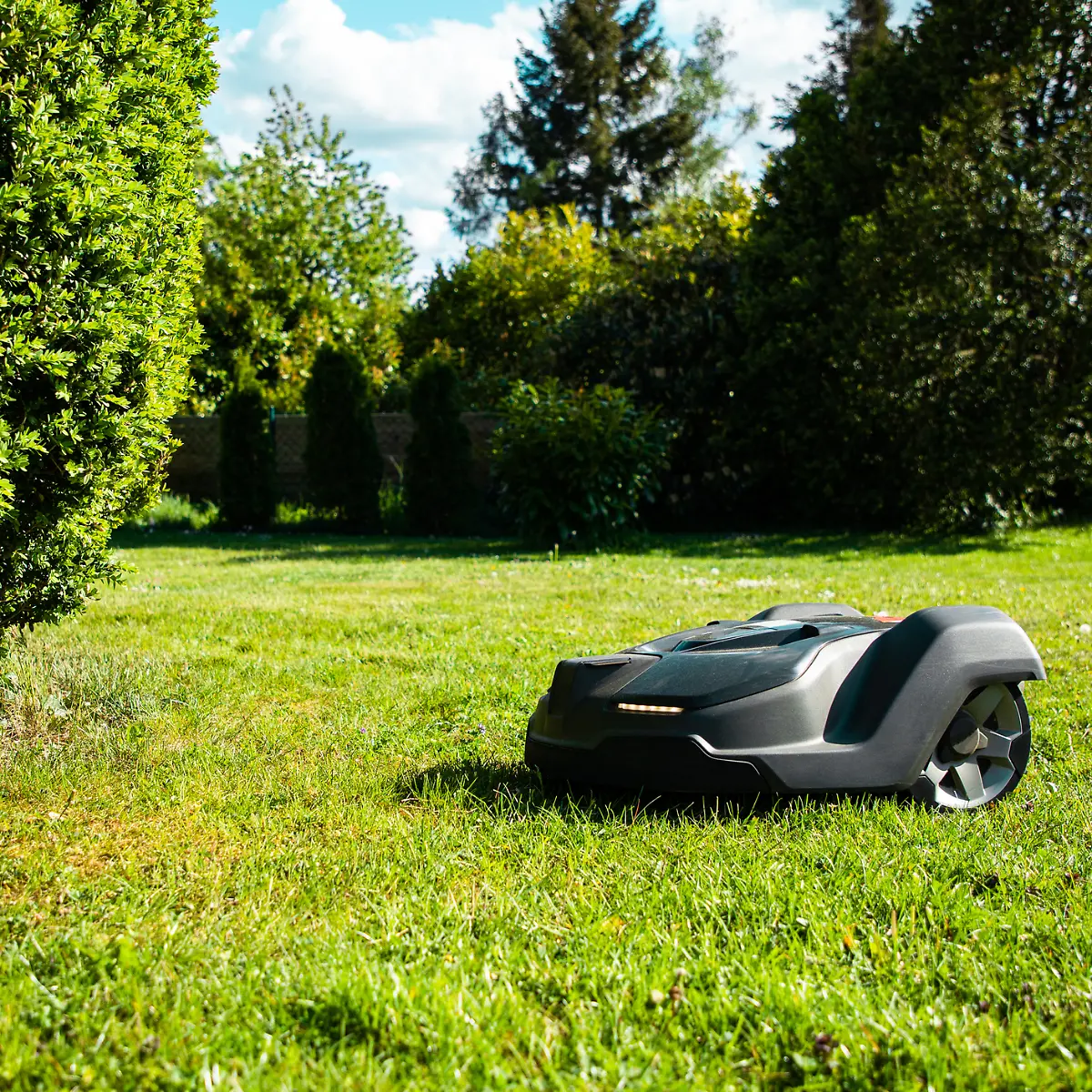 Mhroboter mit Mulchfunktion: Darum ist es gesund fr den Rasen - ntv.de