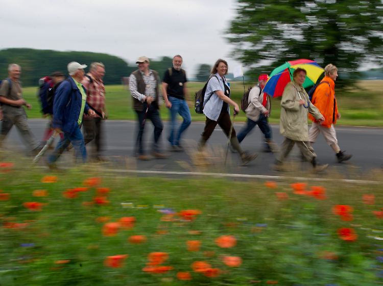Das Wetter könnte schöner sein: geführte Wanderung beim Deutschen Wandertag im brandenburgischen Linthe (Potsdam-Mittelmark).