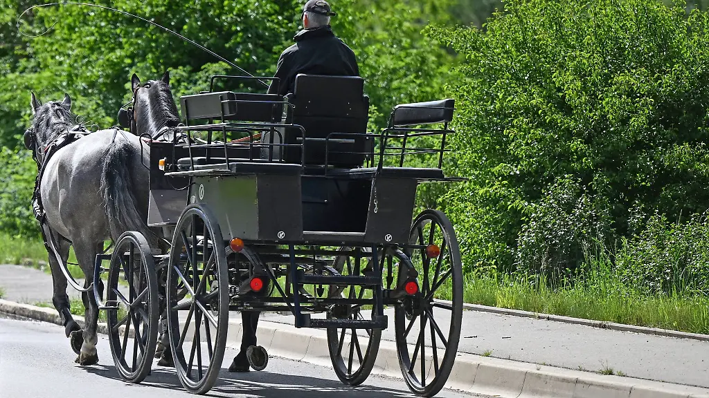Das-Gespann-kam-von-der-Fahrbahn-ab-Archivbild-Illustration