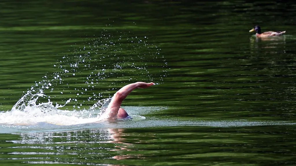 Wer-im-See-schwimmt-ist-nie-allein-im-Gewaesser-sind-auch-viele-Fische-unterwegs