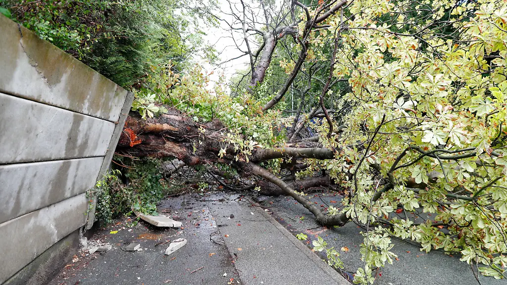 6569d808893b4bc2d115db81de0662b7