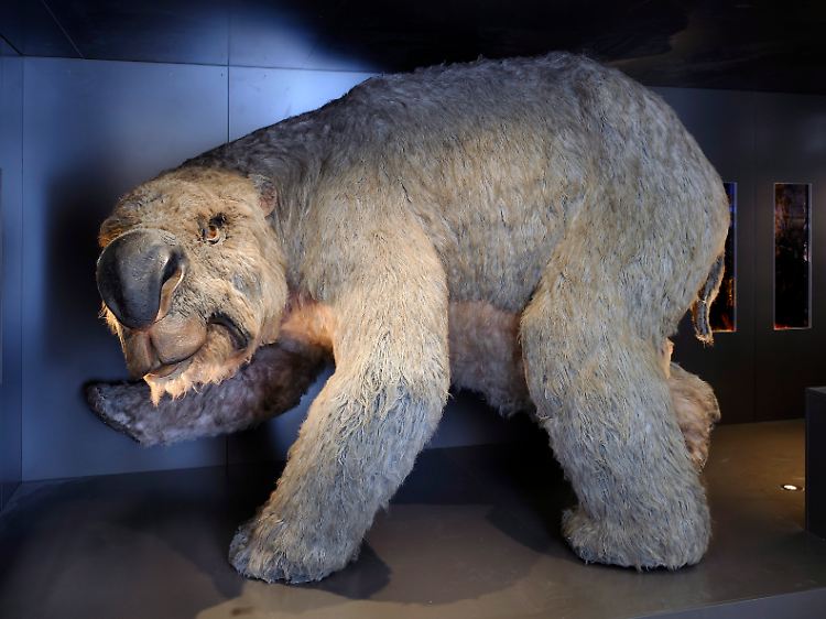 So stellen sich Forscher die Diprotodons vor.