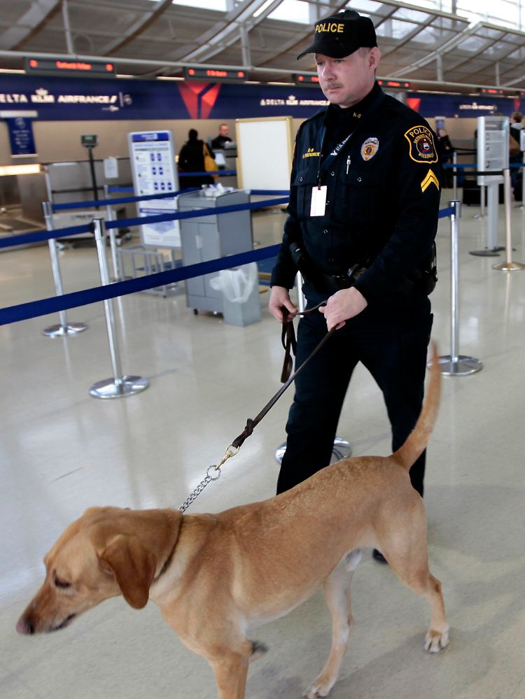 Ein Sicherheitsbeamter am Flughafen von Detroit patroulliert mit seinem Hund.