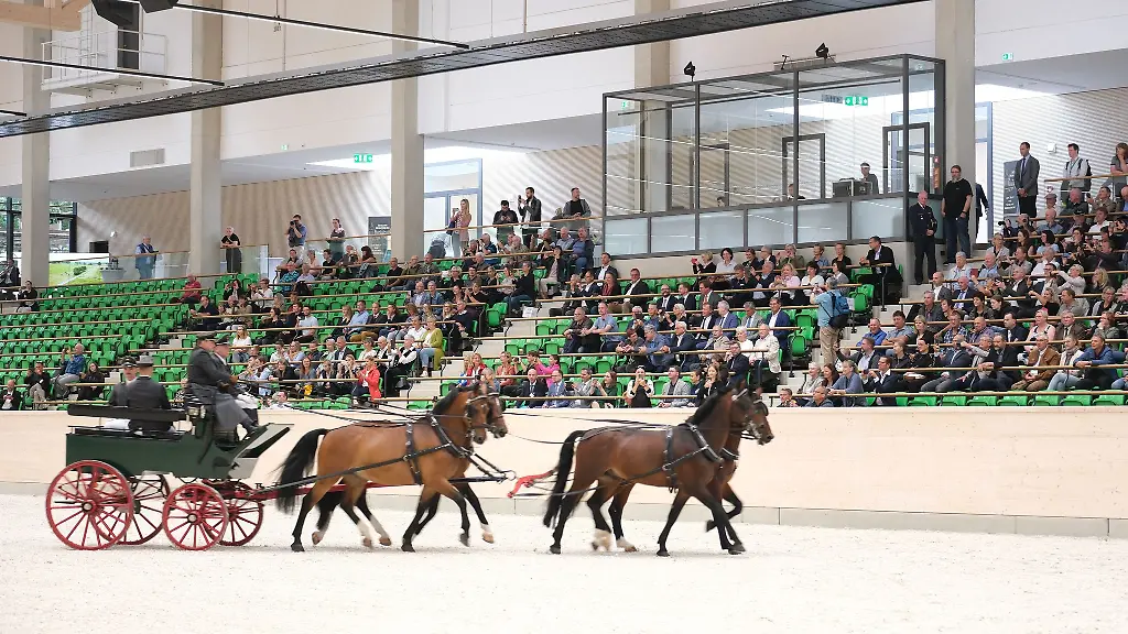 Das-Landgestuet-Moritzburg-hat-eine-neue-Reithalle-bekommen