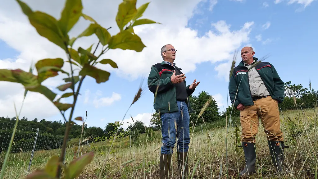 Schleswig-Holsteins-Landwirtschaftsminister-Werner-Schwarz-l-CDU-mit-dem-Direktor-der-Schleswig-Holsteinischen-Landesforsten-Chris-Freise-Aus-jungen-Baeumen-wird-ein-Wald-der-nicht-nur-das-Klima-sondern-auch-das-Wasser-schuetzen-soll