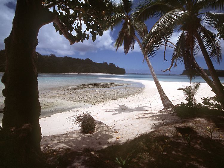 Exotisches Reiseziel: Strand auf der Inselgruppe Vava'u, die zu den Tonga-Inseln im südlichen Pazifik gehören.