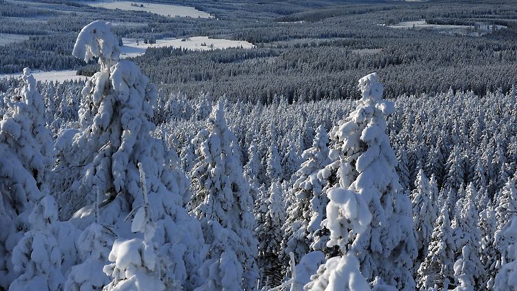 Blick vom Fichtelberg