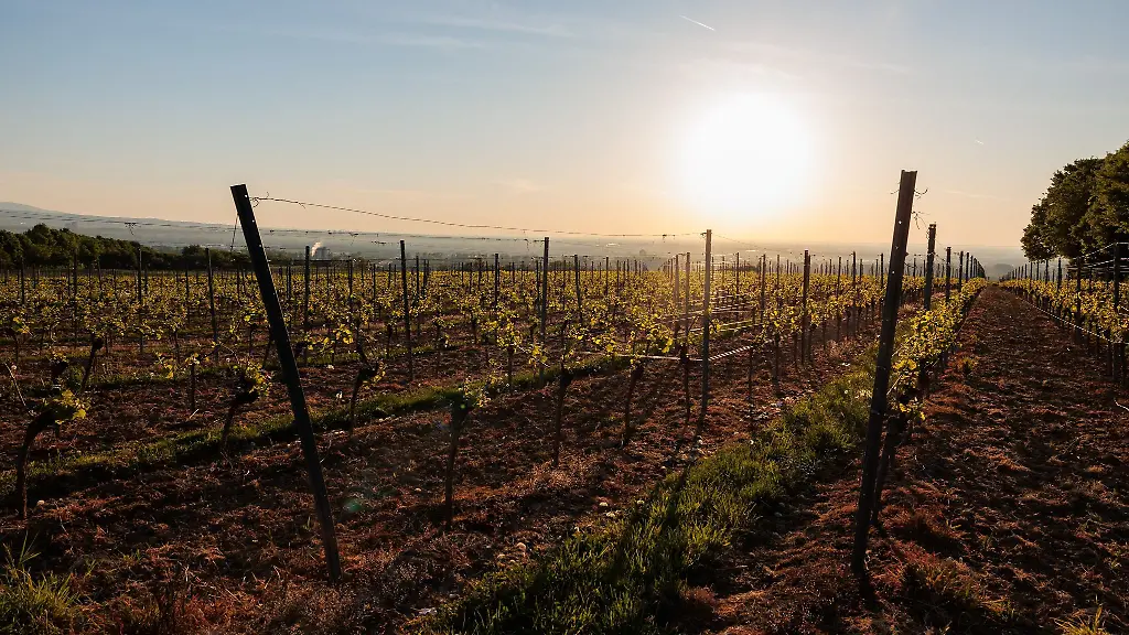 In-Rheinland-Pfalz-und-dem-Saarland-wird-es-sonnig