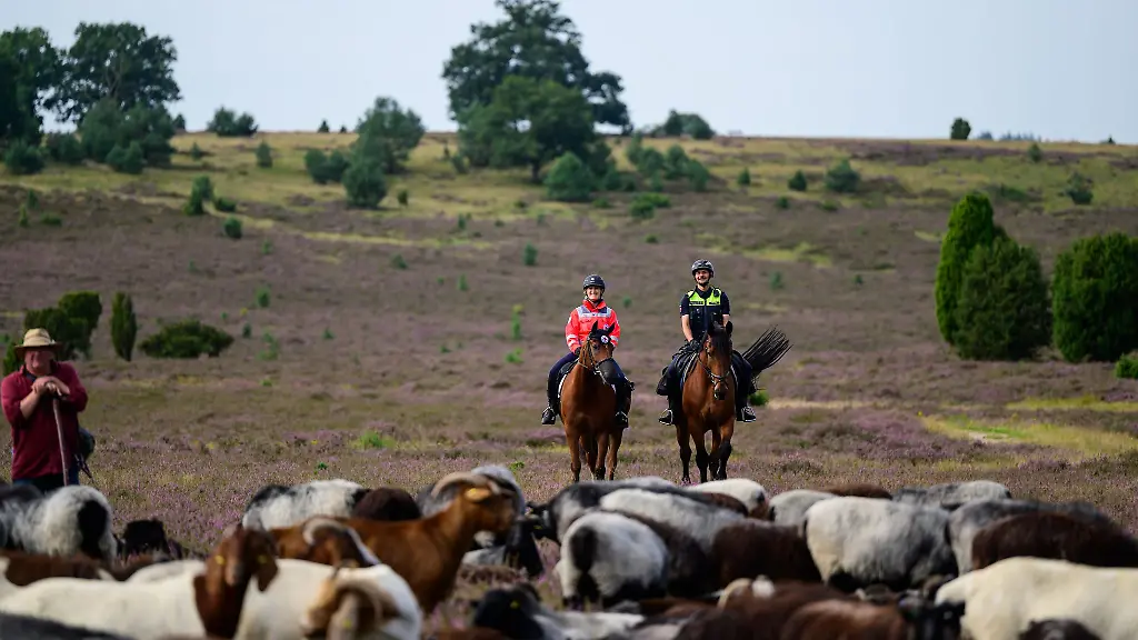 Die-Reiter-sollen-unter-anderem-Braende-verhindern