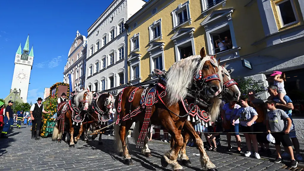 Eine-traditionelle-Pferdekutsche-ist-in-Straubing-in-der-Innenstadt-unterwegs