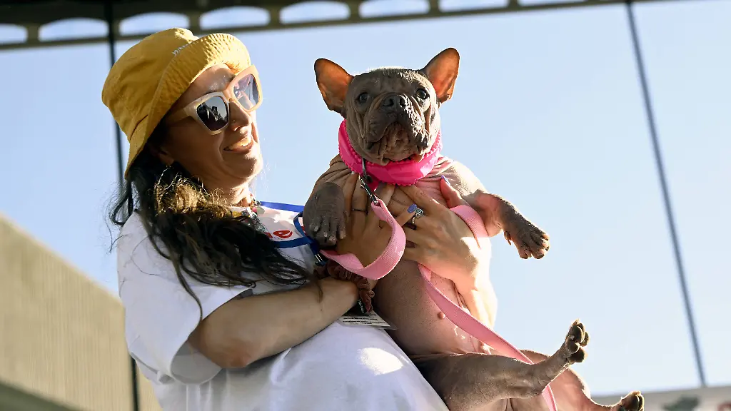 a6f02d54676d9e4e5169873b00af6b4a