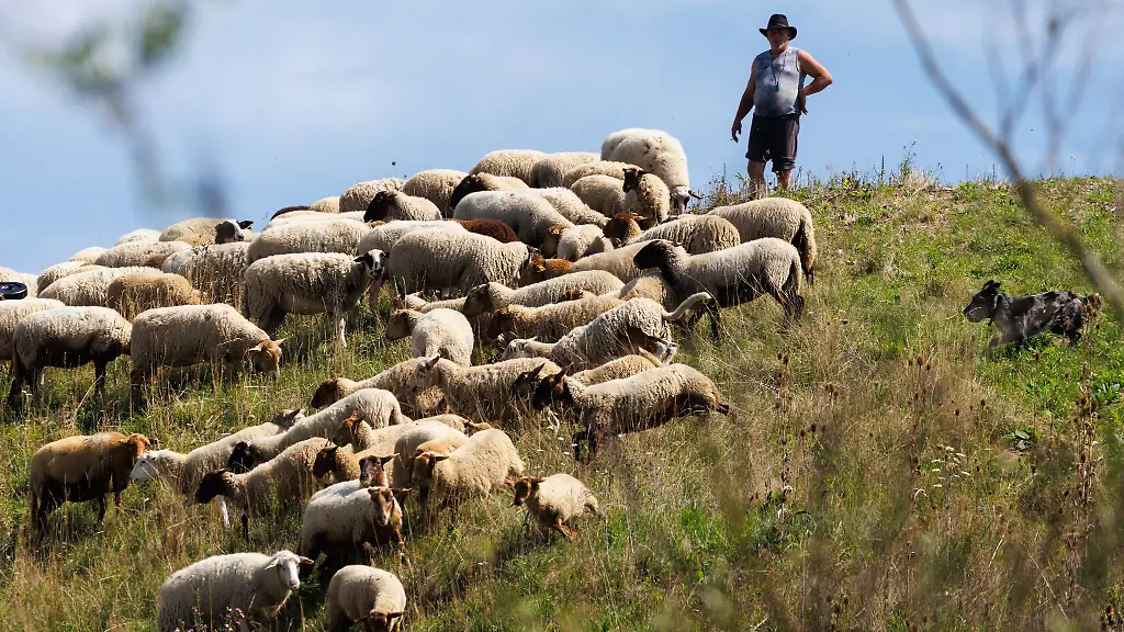 Viel-Sonne-gibt-es-am-Wochenende