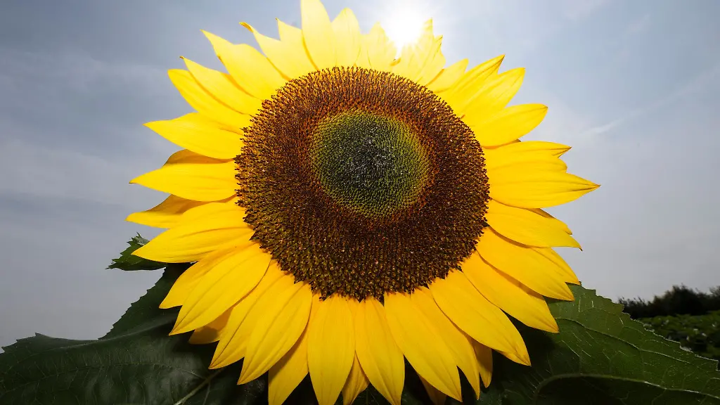 In-den-naechsten-Tagen-wird-es-zunehmend-heiss-in-Hessen