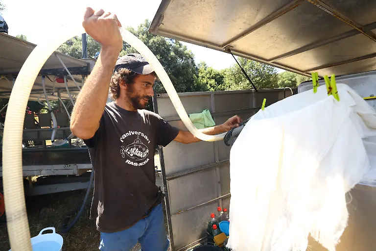 2025-08-08T081339Z-1252536483-RC21RFAG5JZ5-RTRMADP-3-SPAIN-WILDFIRES-GOATS