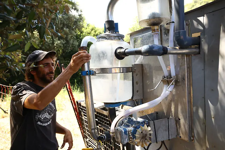 2025-08-08T081357Z-975429636-RC21RFAAVHVC-RTRMADP-3-SPAIN-WILDFIRES-GOATS