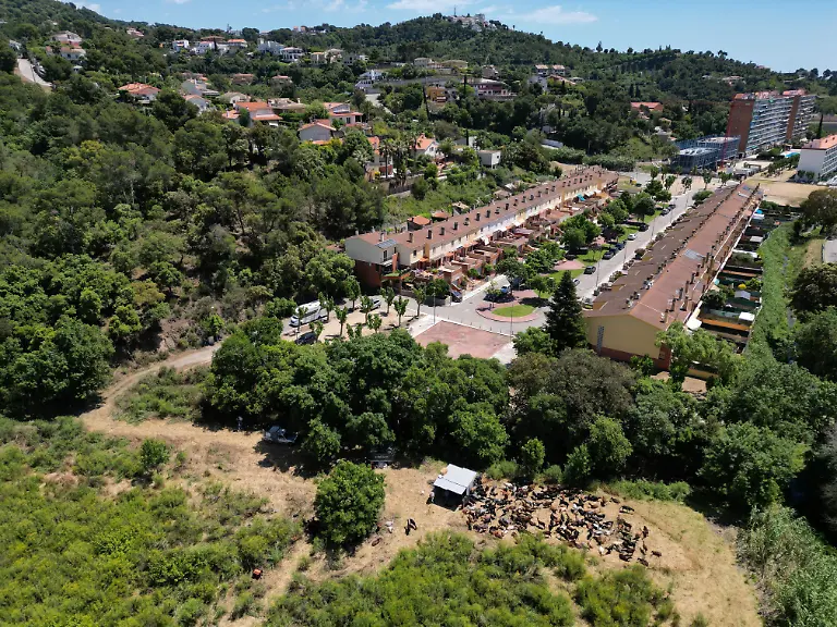 2025-08-08T081330Z-1508410453-RC2PNEAW80JT-RTRMADP-3-SPAIN-WILDFIRES-GOATS