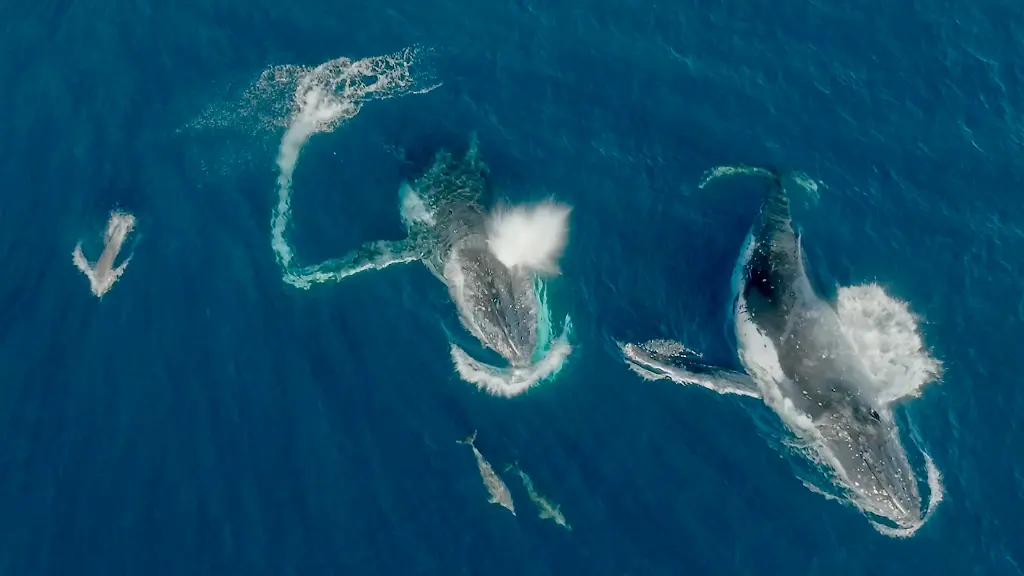 1619a6d2528e5206ee26daf48472cb80