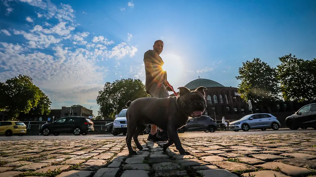 Zur-Wochenmitte-sollen-in-NRW-bis-zu-37-Grad-moeglich-sein