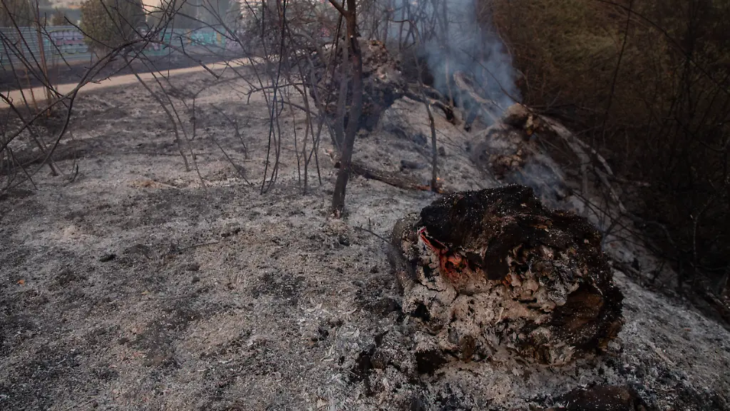 51b1430c3508eac0e9e0cad4ce53cd32