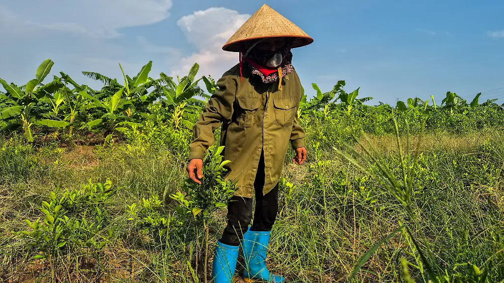 2025-08-11T015827Z-2006725910-RC2XWFAVGC87-RTRMADP-3-USA-TRUMP-TARIFFS-VIETNAM-GOLF