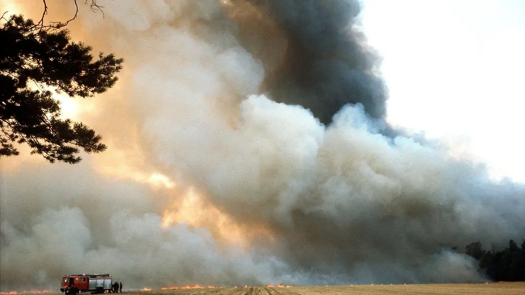 Eine-grosse-Trockenheit-beguenstigte-die-Waldbraende