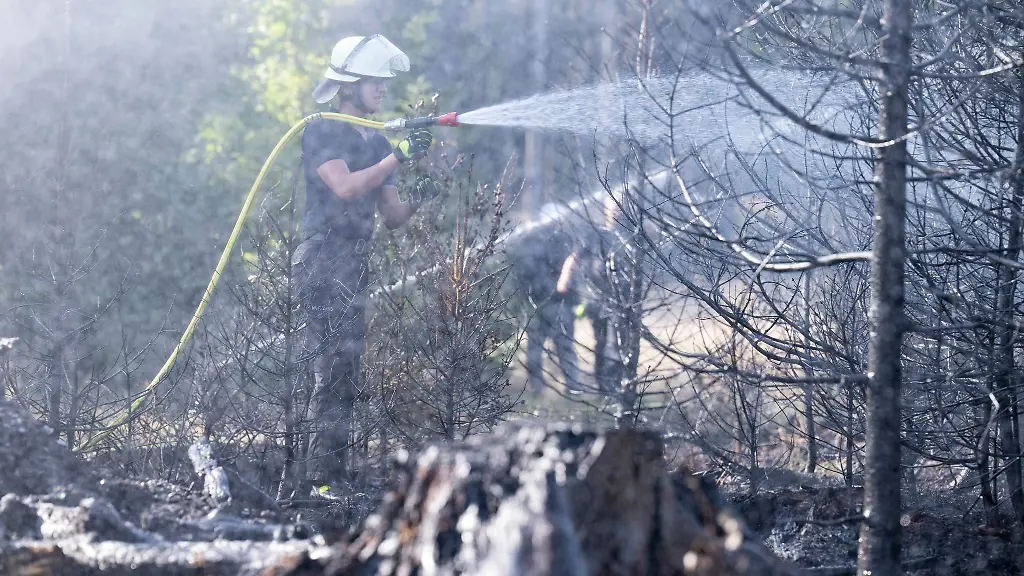 Feuerwehrleute-muessen-zwei-Braenden-im-Wald-nahe-Glashuetten-im-Hochtaunuskreis-loeschen