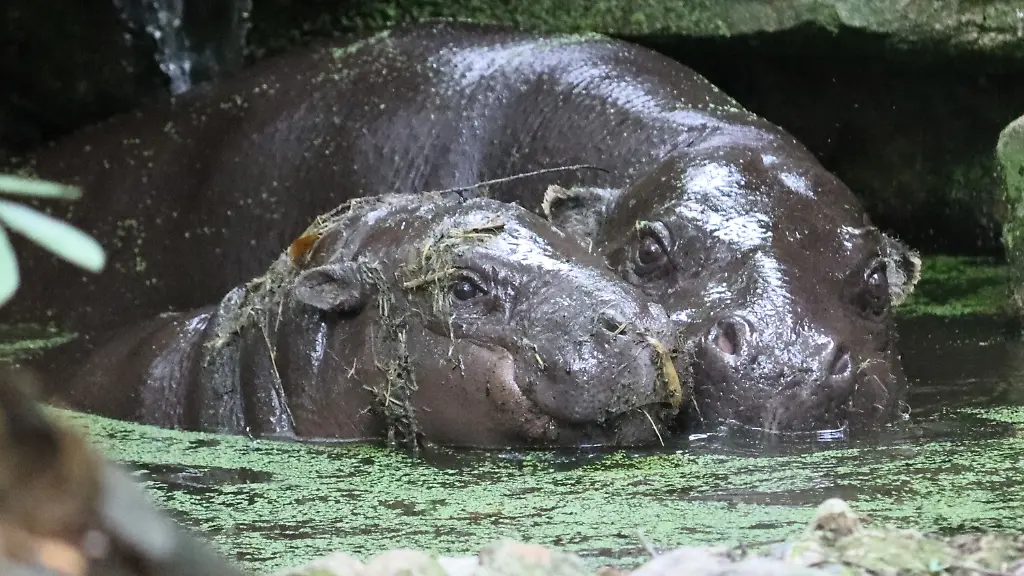 042bbc9da89a5dac2640eb52c5abf2f8