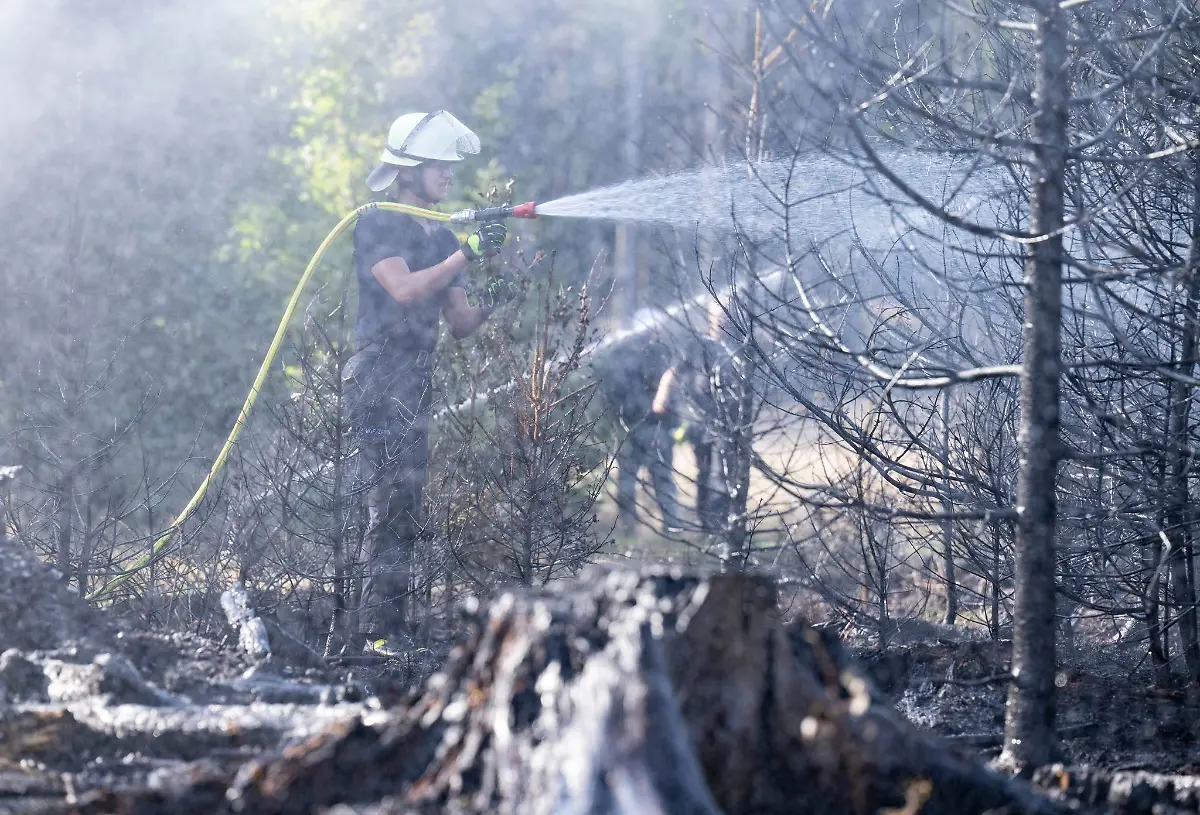 Feuerwehrleute-haben-erst-am-Dienstag-Braende-im-Wald-nahe-Glashuetten-im-Hochtaunuskreis-loeschen-muessen