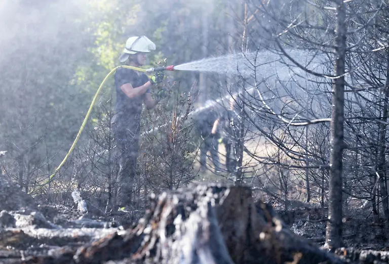 Feuerwehrleute-haben-erst-am-Dienstag-Braende-im-Wald-nahe-Glashuetten-im-Hochtaunuskreis-loeschen-muessen