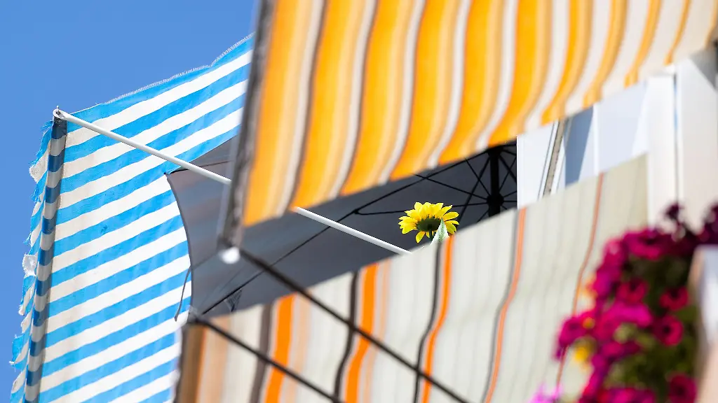 Am-Mittwochnachmittag-wurden-laut-Deutschem-Wetterdienst-in-Jena-34-7-Grad-gemessen-Am-Donnerstag-werden-in-Thueringen-bis-zu-37-Grad-erwartet