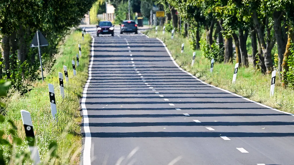 In-Berlin-und-Brandenburg-erreichen-die-Temperaturen-am-Freitag-32-bis-37-Grad