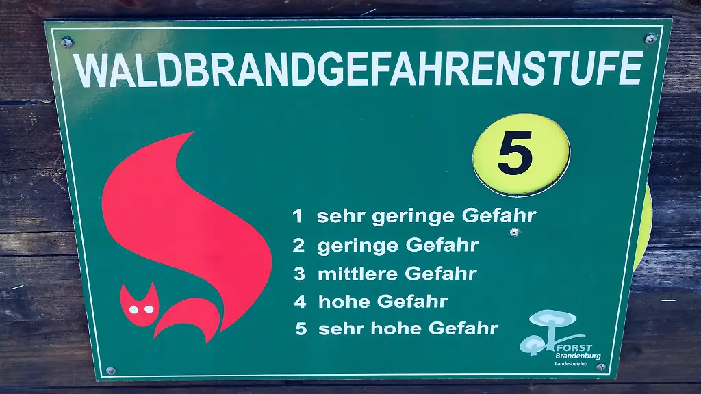 Die-Waldbrandgefahr-ist-gestiegen