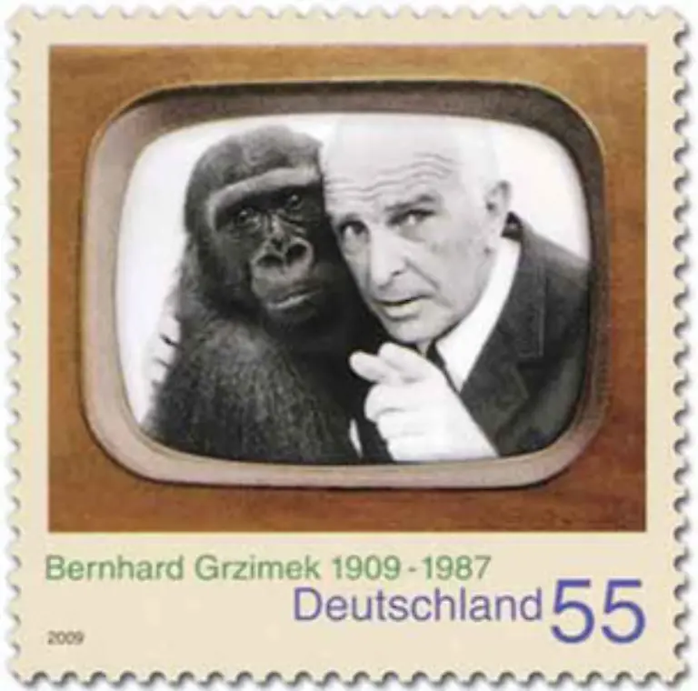 Zum-100-Geburtstag-bringt-die-Deutsche-Post-eine-Grzimek-Briefmarke-heraus