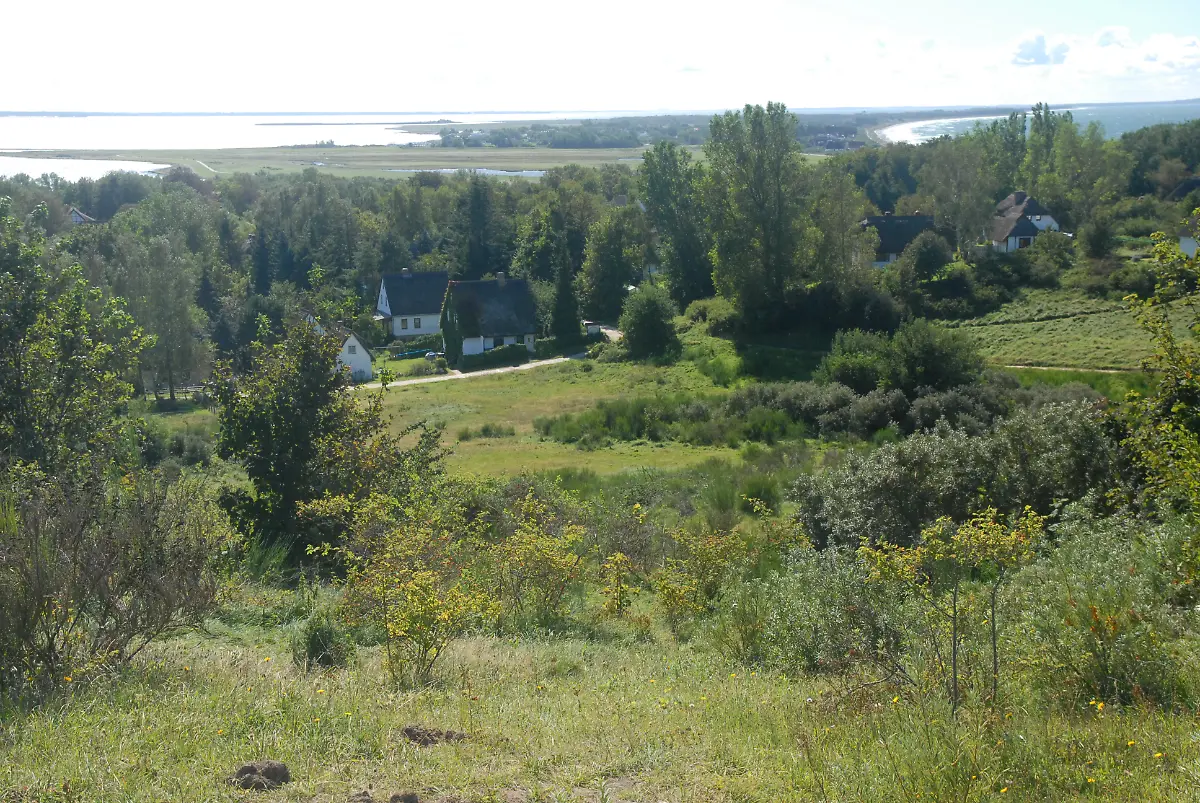 dornbusch-aussicht-lietzenburg