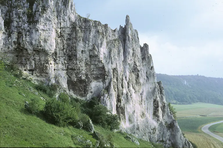 Wellheimer-Trockental-1