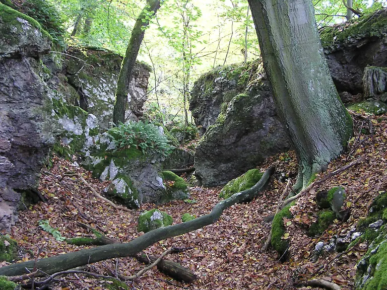 Karstlandschaft-Suedharz
