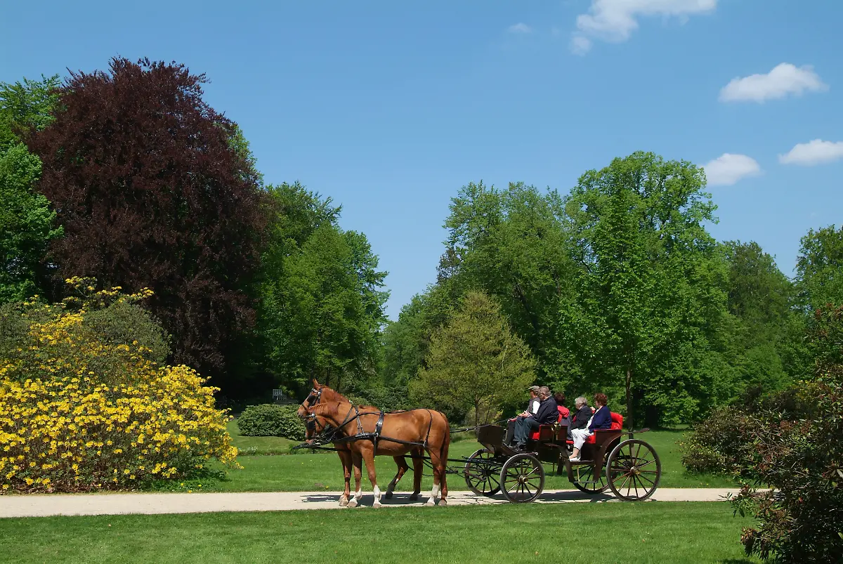 15-10-Kutschfahrt