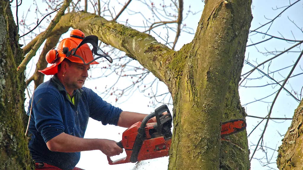 413613-R-K-by-Paul-Georg-Meister-pixelio-de