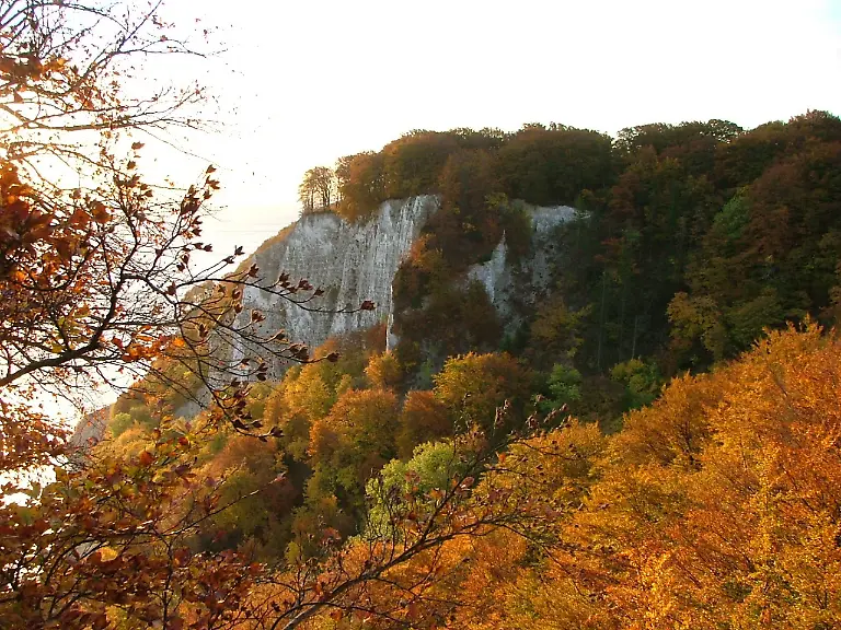 NLPJasmund-Herbstlicher-Hangbuchenwald-an-der-Victoriasicht-C-Kuse
