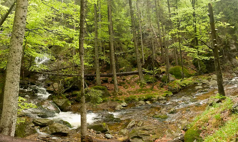 NRPBayer-Panorama-Riesloch-Uwe-Reissenweber