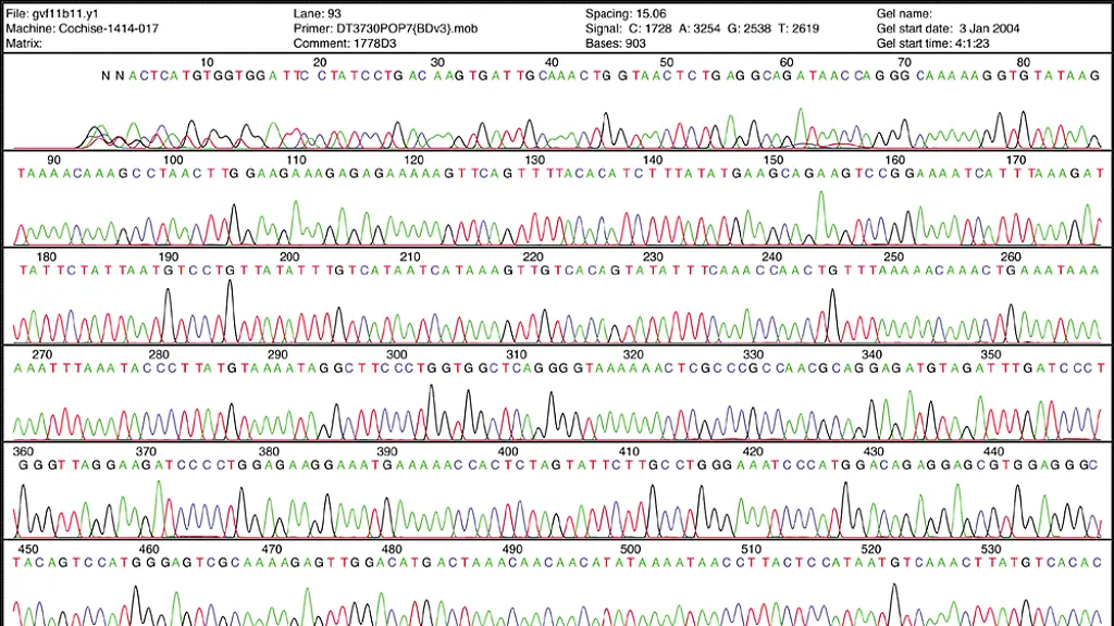 DNA-sequencing-interferogram