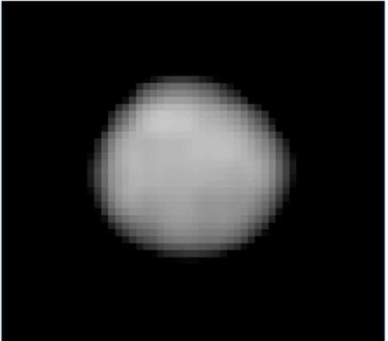 20100616104437-PallasHST2007