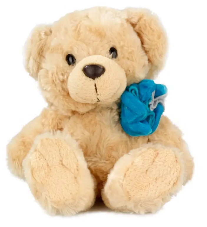 4152065-bildstrecke-spielzeug-teddy-gross