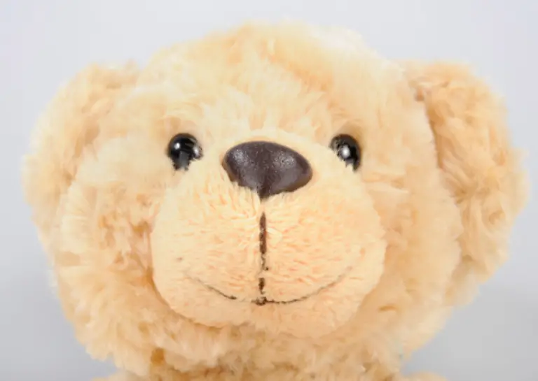 4152067-bildstrecke-spielzeug-teddy-detail-gross