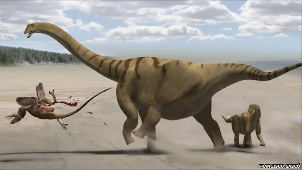 51378202-life-restoration-1