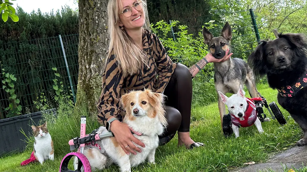 Auf-dem-Lebenshof-von-Lara-Sohn-in-Heusweiler-leben-Hunde-und-Katzen-friedlich-zusammen-Alle-stammen-aus-Krisengebieten-und-sind-gelaehmt-ihrer-Lebensfreude-tut-das-keinen-Abbruch