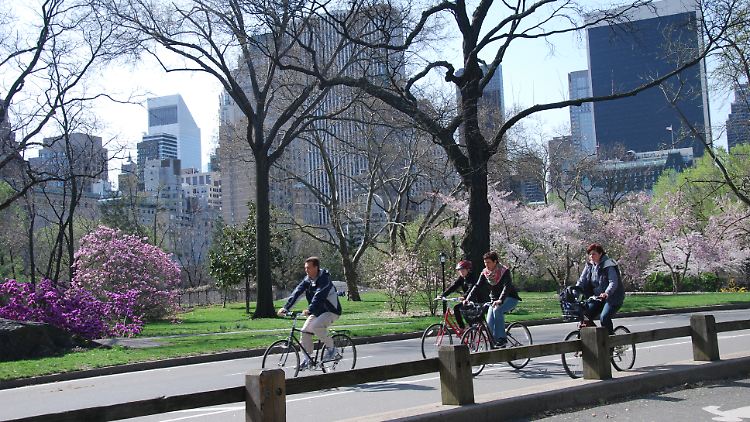 Fahrradfahrer im New Yorker Central Park.