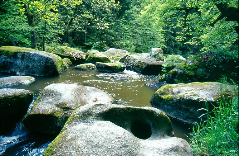 021-Waldnaabtal-Gletschermuehle2-NPNoerdlPfaelzerWald