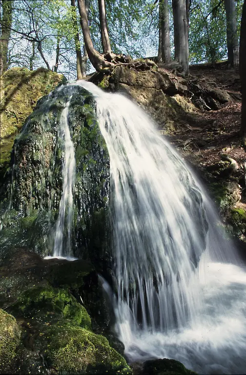 028-NaturP-EHW-Grossbartloff-Wasserfall-3-2000-1