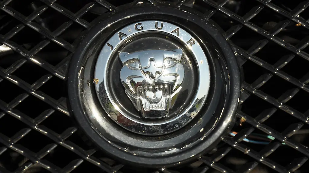 Jaguar1407